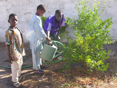 Le collège Le collège